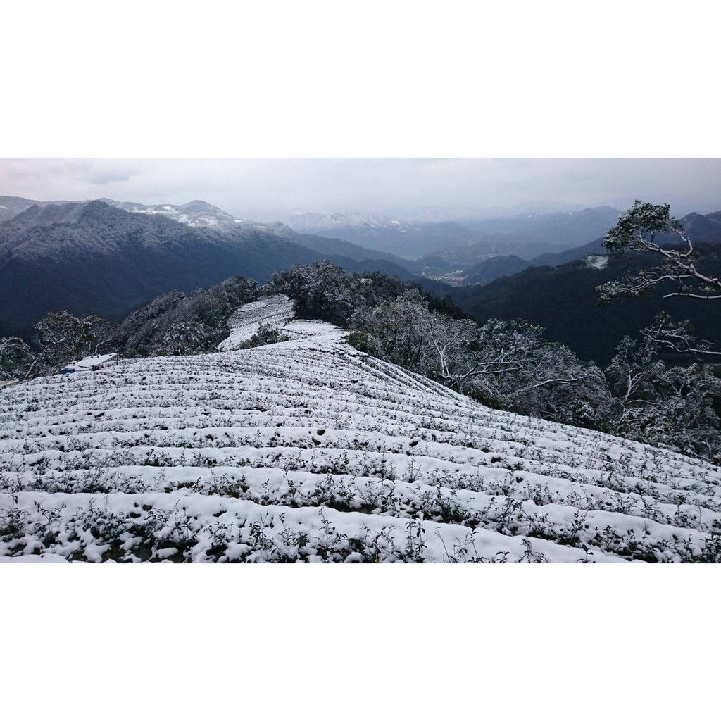 1dcb5833978877612b56ab523b17a4ab