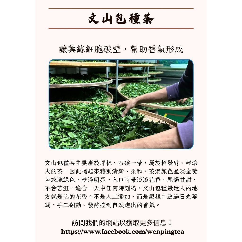 tw-11134207-81ztn-mh5ya2ohmya6bf