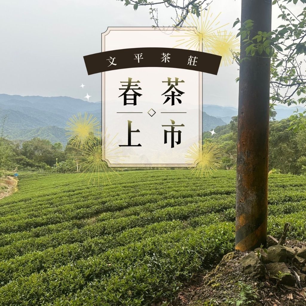 tw-11134207-7r98x-luyxrxolgbezef