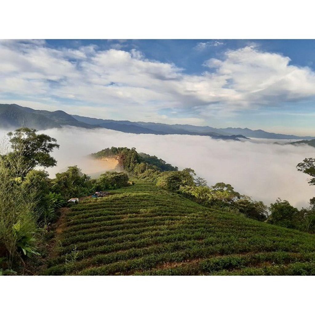 9e0342c5abf9a3e32a97cb43a8eb00a4