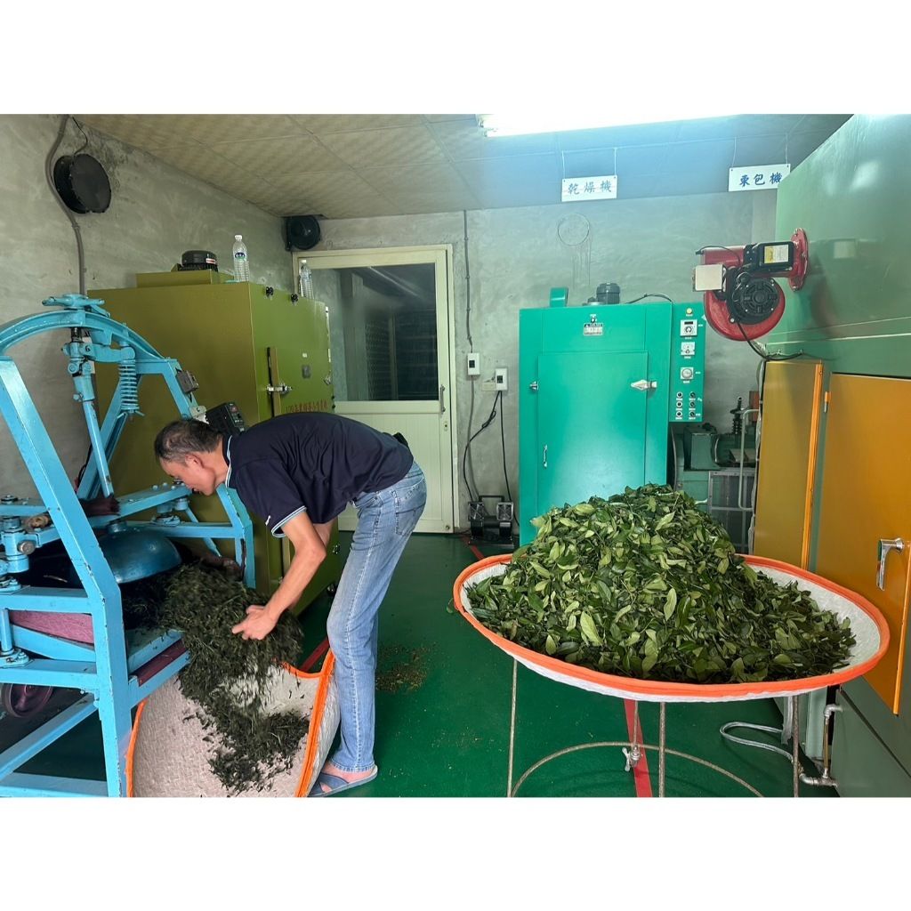 tw-11134207-7r98t-luyxrxolj4jv21