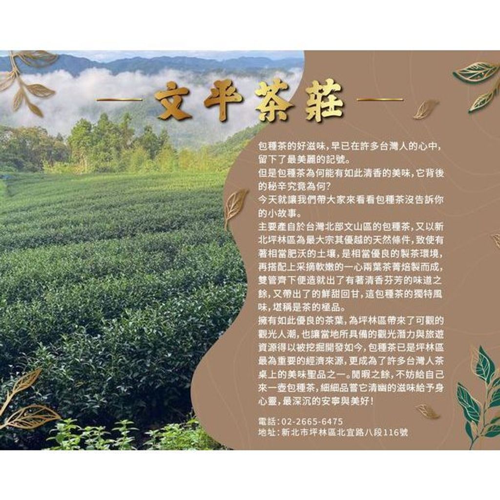 tw-11134207-7r991-luyxrxollxord1