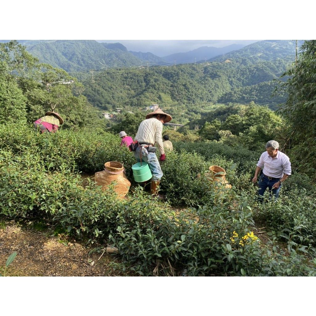 78c540a2f40800930b951d5553165588