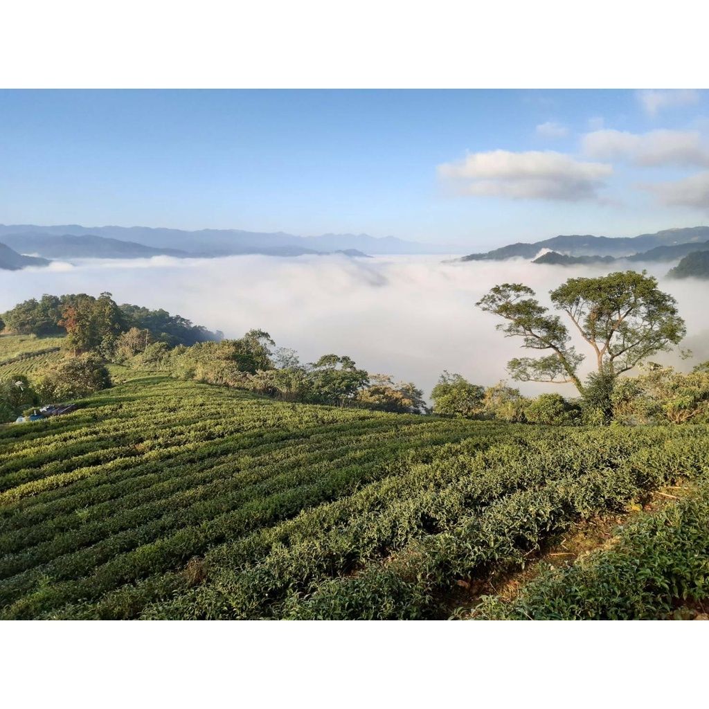 07f28699388cdf179448a4db583c1439