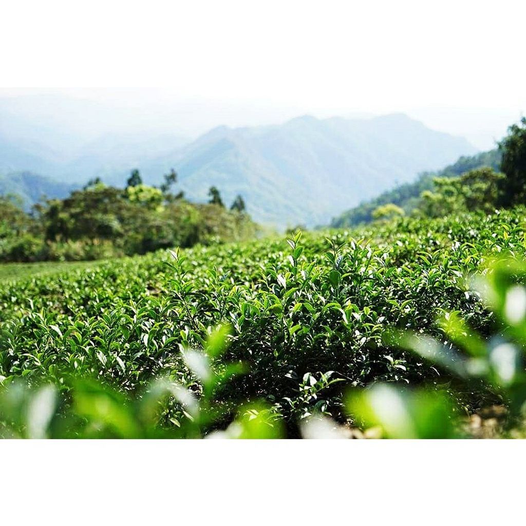 cfb60fde71c6cfa5f50d12989137ab6d