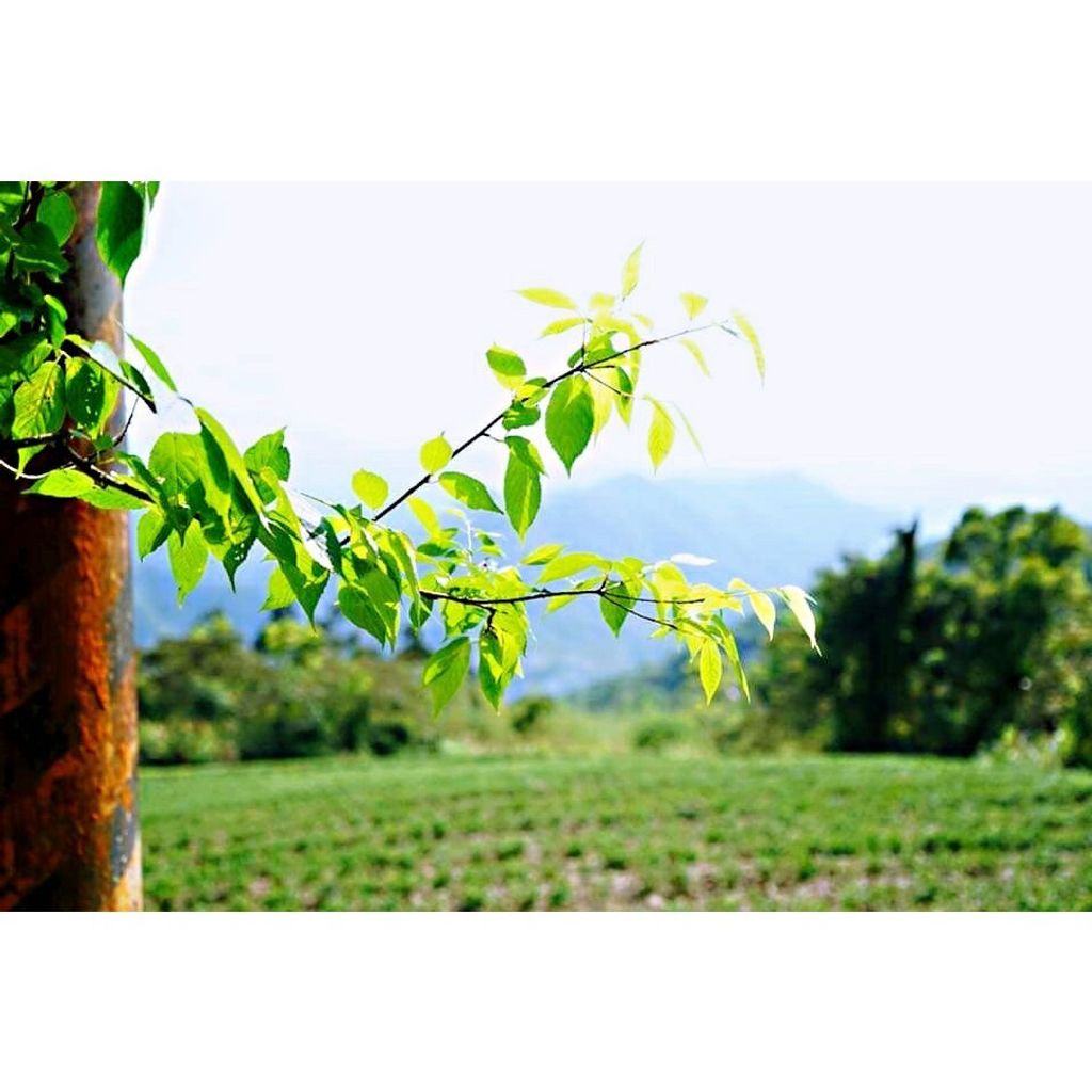 35d0668e9cb28b1d2242789e96baced5