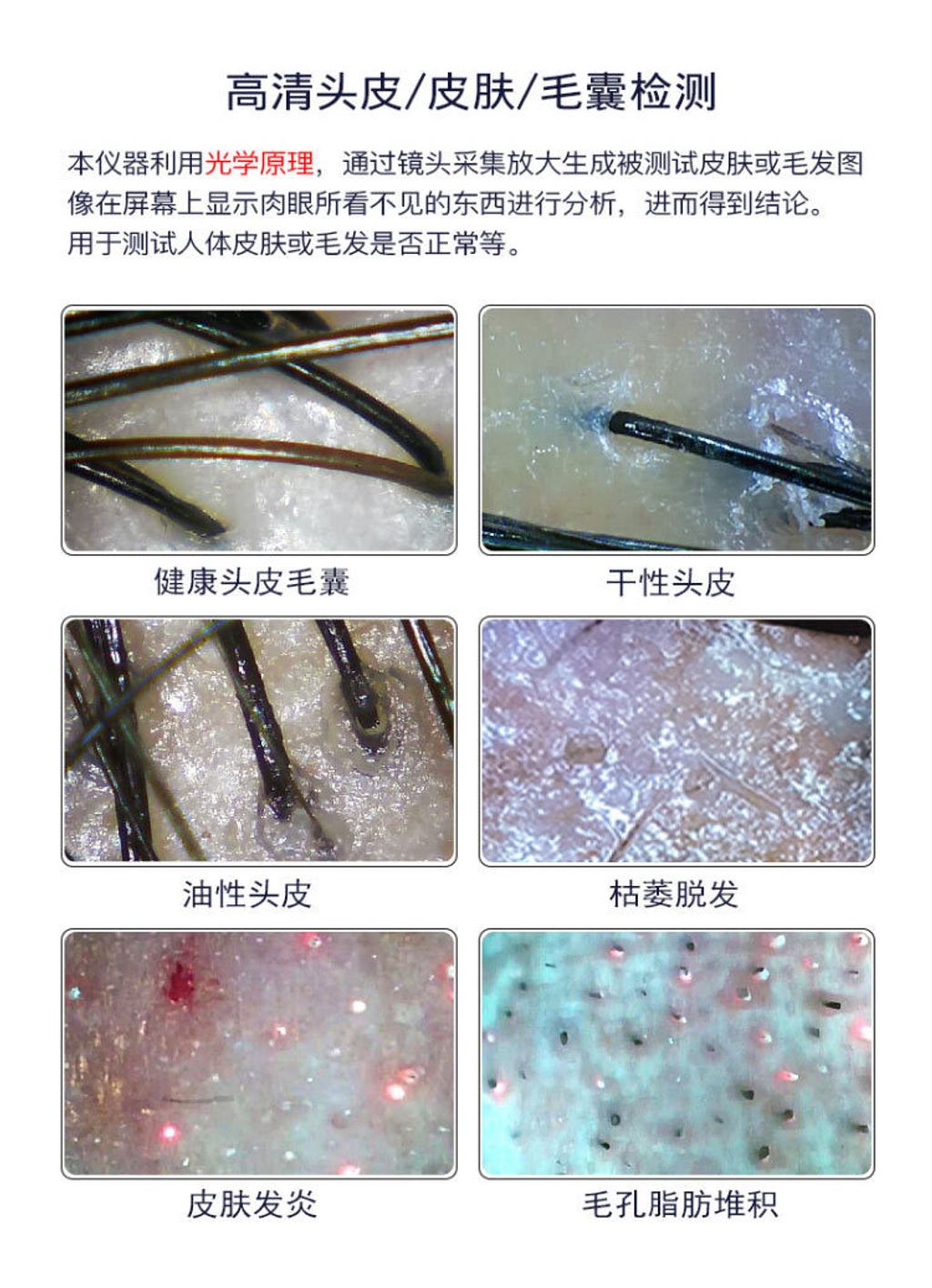 22187121842_1379337857-8c6e