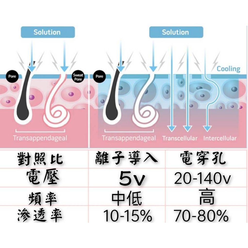 366712364_771221525006417_3132582989435606406_n-67b0