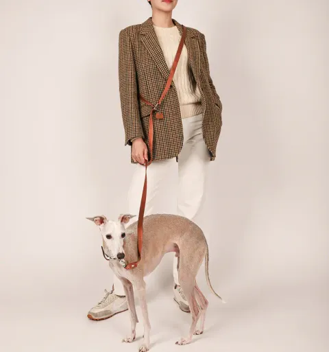 saddle_leash_s_camel