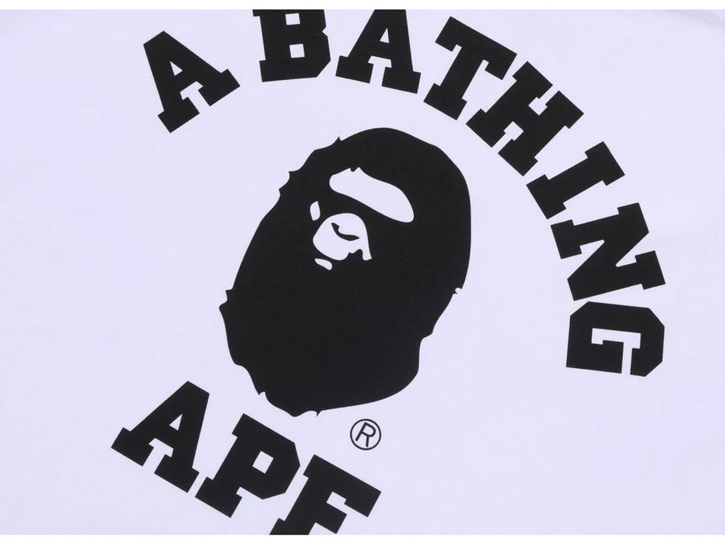 截圖 2026-02-20 下午3.34.04