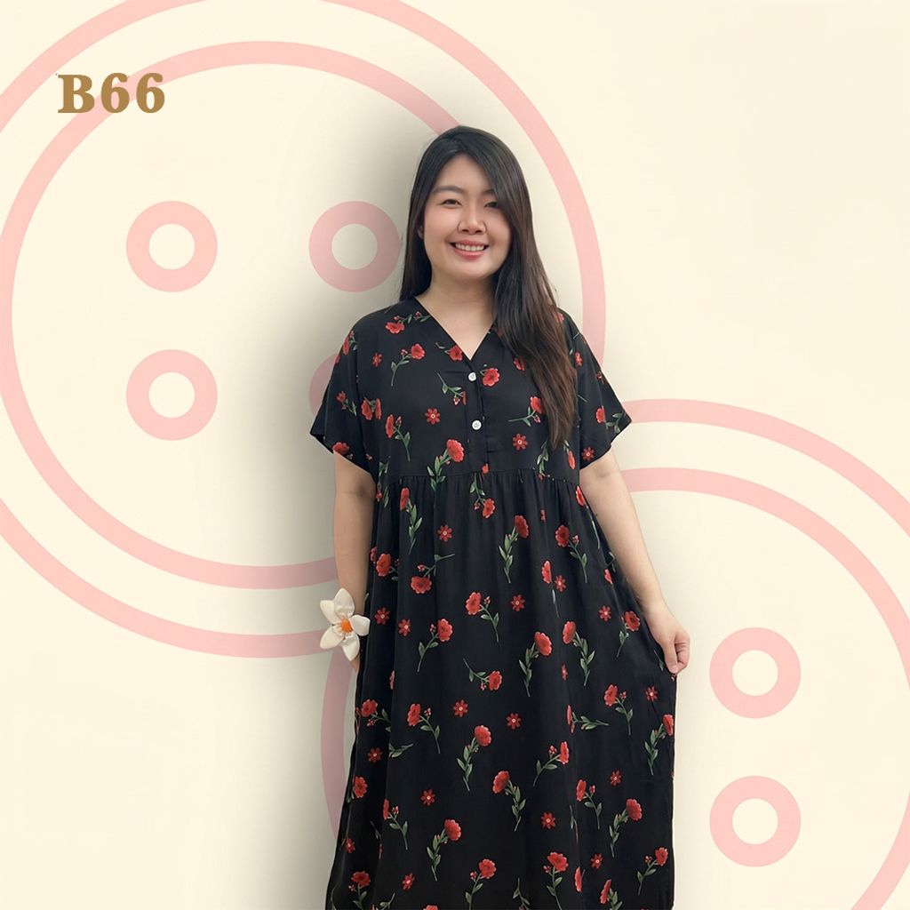 B66