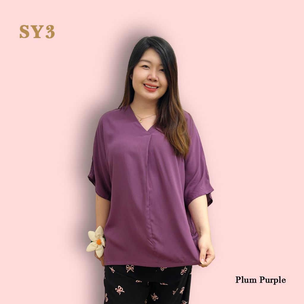SY3