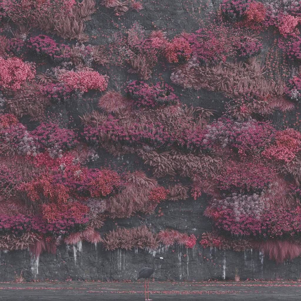 tw-11134207-7rbke-majlruyf08nqa9