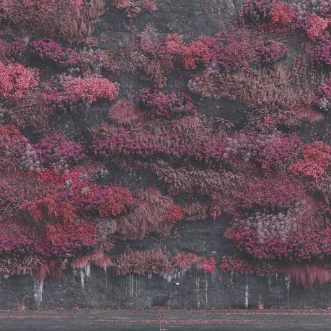 tw-11134207-7rbke-majlruyf08nqa9