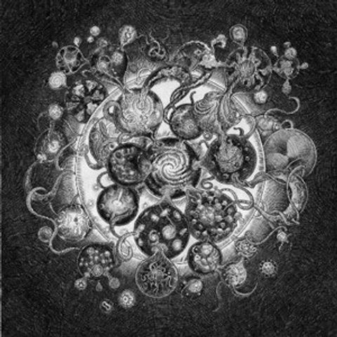 f2244bf7f5f9490b7aac09aa6584c671