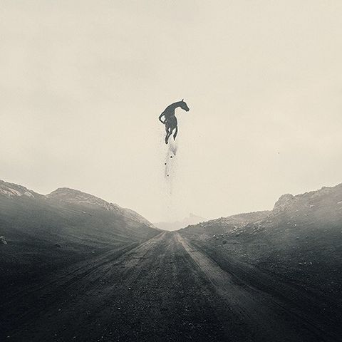 268a8ecc44c70b448856ea9fe504d810