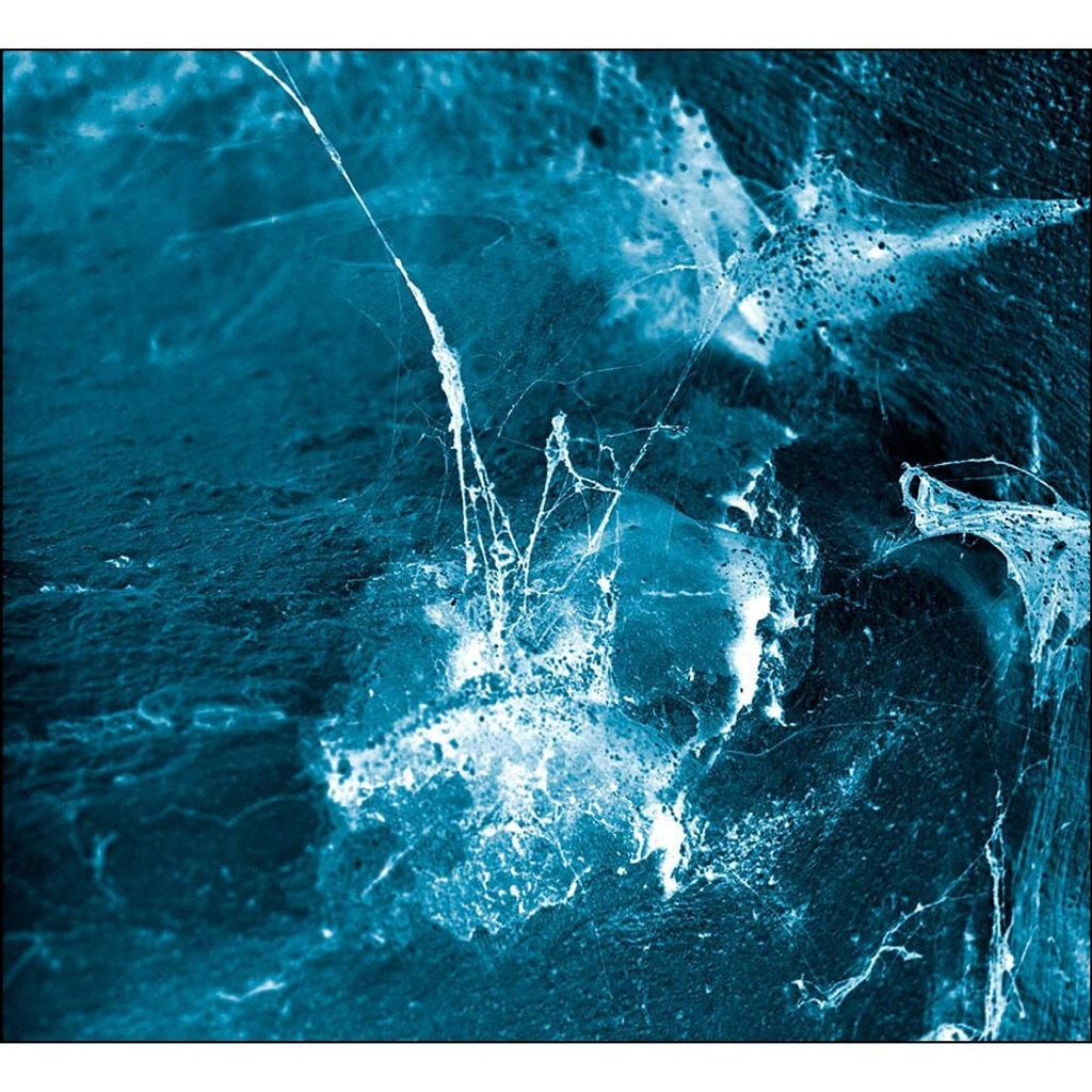 d57993baecda474bc3d8234e7c8da22c