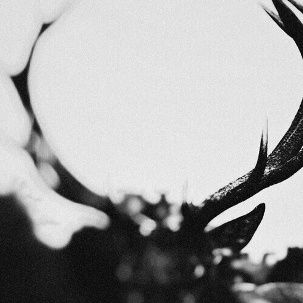 tw-11134207-7r98u-lzex4gugrpcu7f