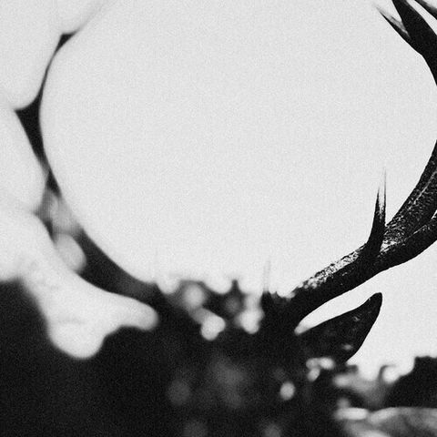 tw-11134207-7r98u-lzex4gugrpcu7f