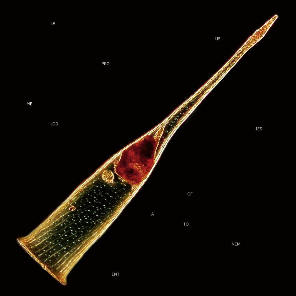 tw-11134207-7r98x-lzllyhibz3tq25