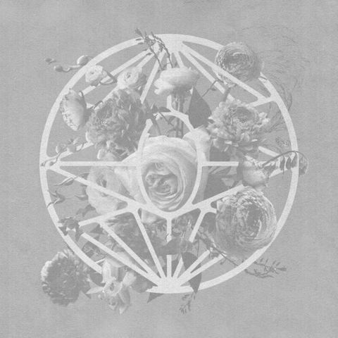 tw-11134207-7r98s-lygn0jeiygace7