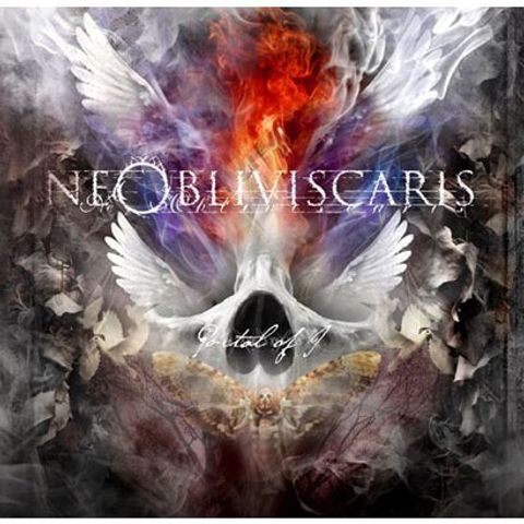 d1c6b478187a9112e33fb6421ee8ab69