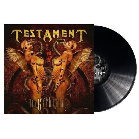 tw-11134207-7ra0n-mdkd3zqlfso381