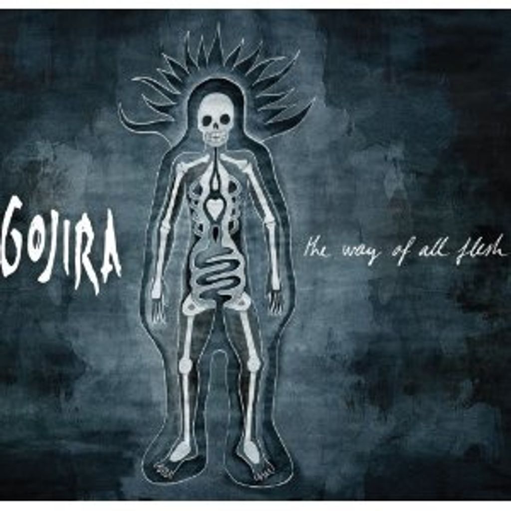 fe5ede408f904485359f8c1964b8aacb