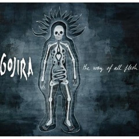 fe5ede408f904485359f8c1964b8aacb