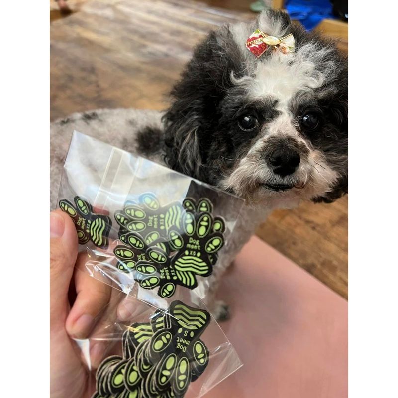 狗狗防滑腳貼 4片裝 試用 寵物防滑腳貼 狗狗止滑貼墊 止滑腳貼 老犬打滑站不穩 開岔 足下止滑墊｜嗨寶好選物