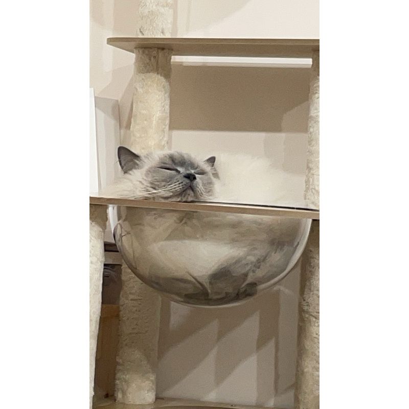 是專屬的賣場 一次性 的補價差 補缺件