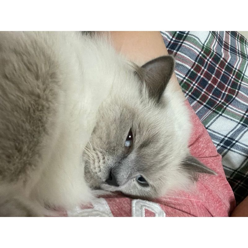 是專屬的賣場 一次性 的補價差 補缺件