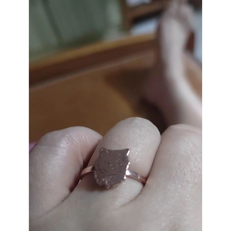 【手作客製化】照片訂製  來圖訂製 手工打造 925銀 戒指 尾戒 貓貓 狗狗 孩子 手鍊 手環 紀念物｜嗨寶好選物