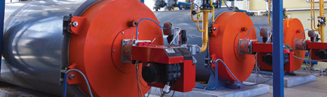 Screenshot 2026-05-19 102142