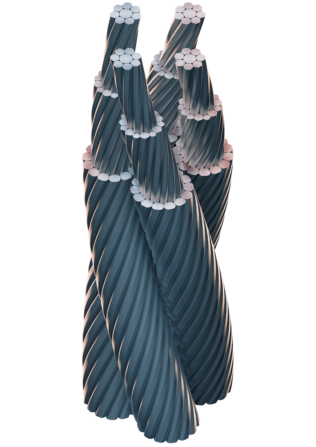 vero4