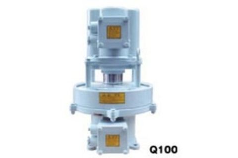 q100-375x250