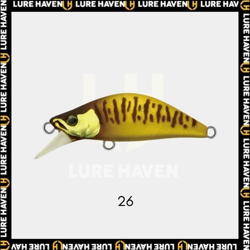 26