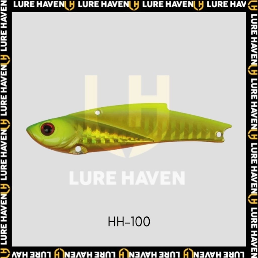 HH100