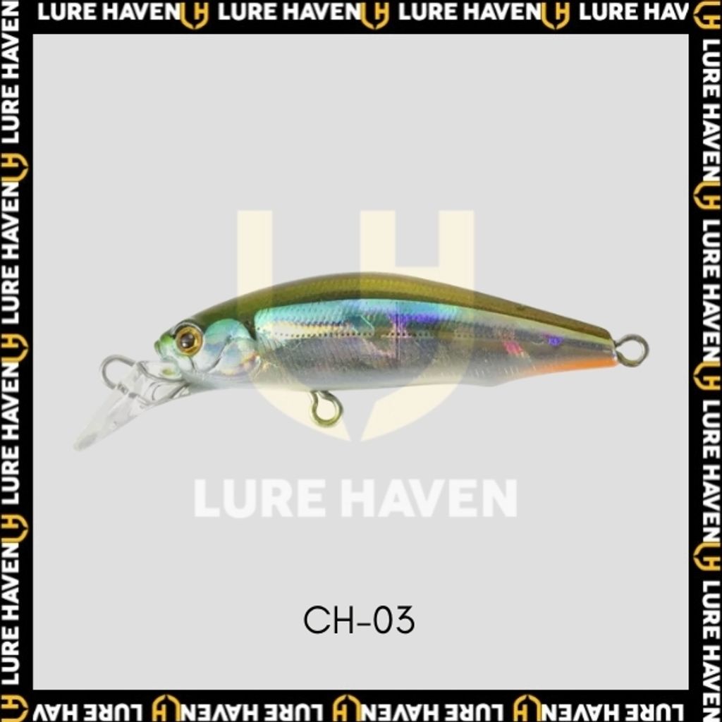 CH03