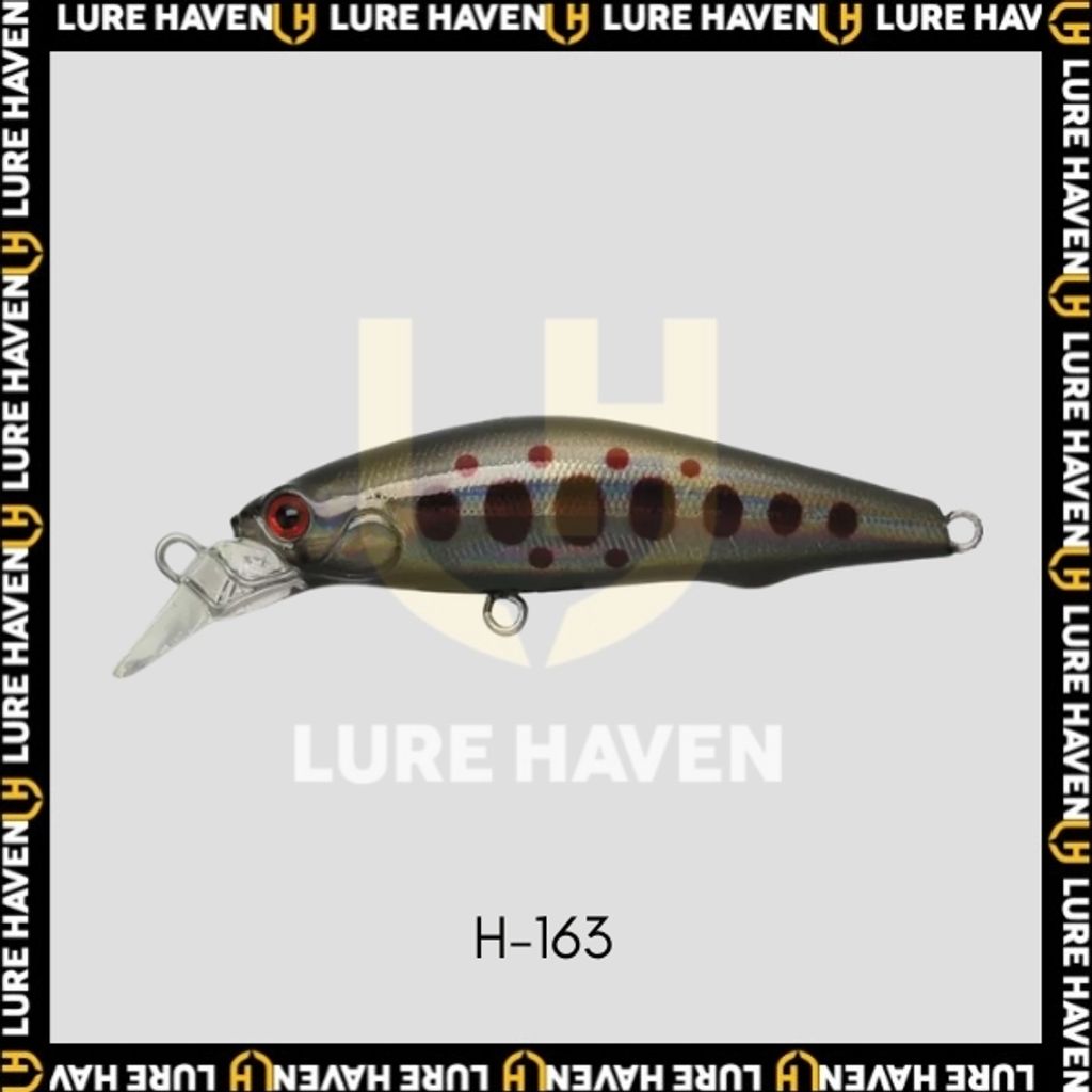 H163