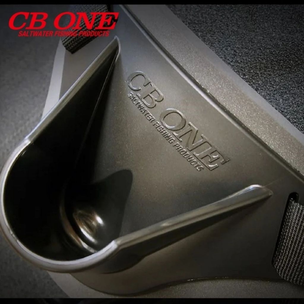 cb 1 dp1