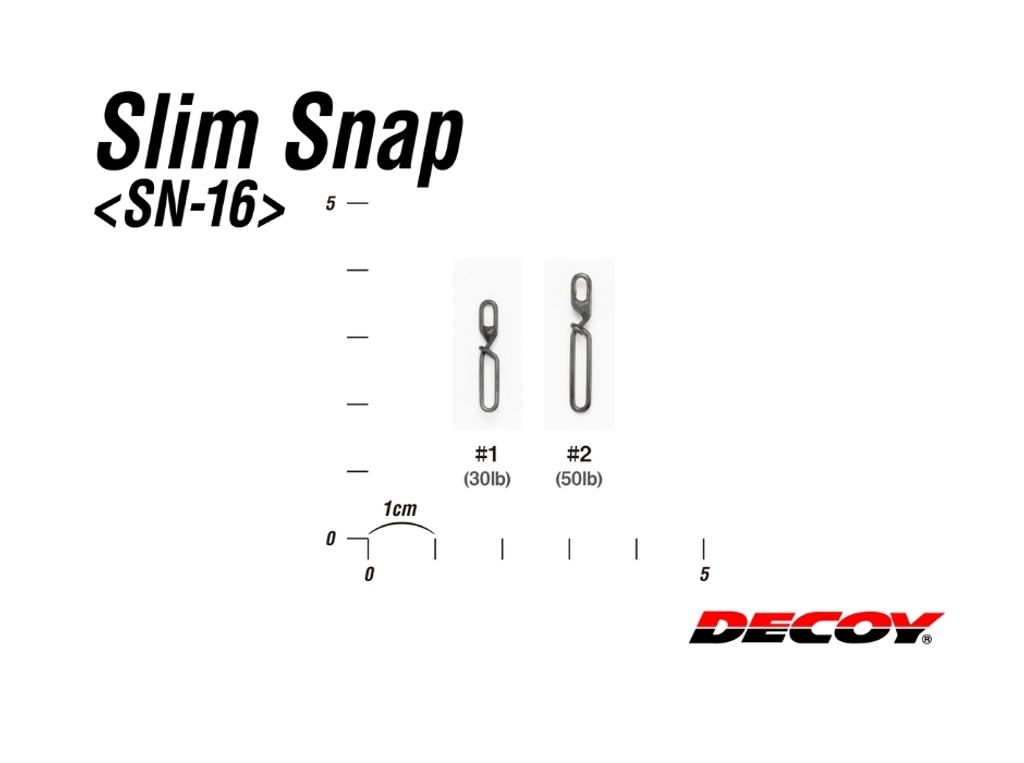 sn16 (2)