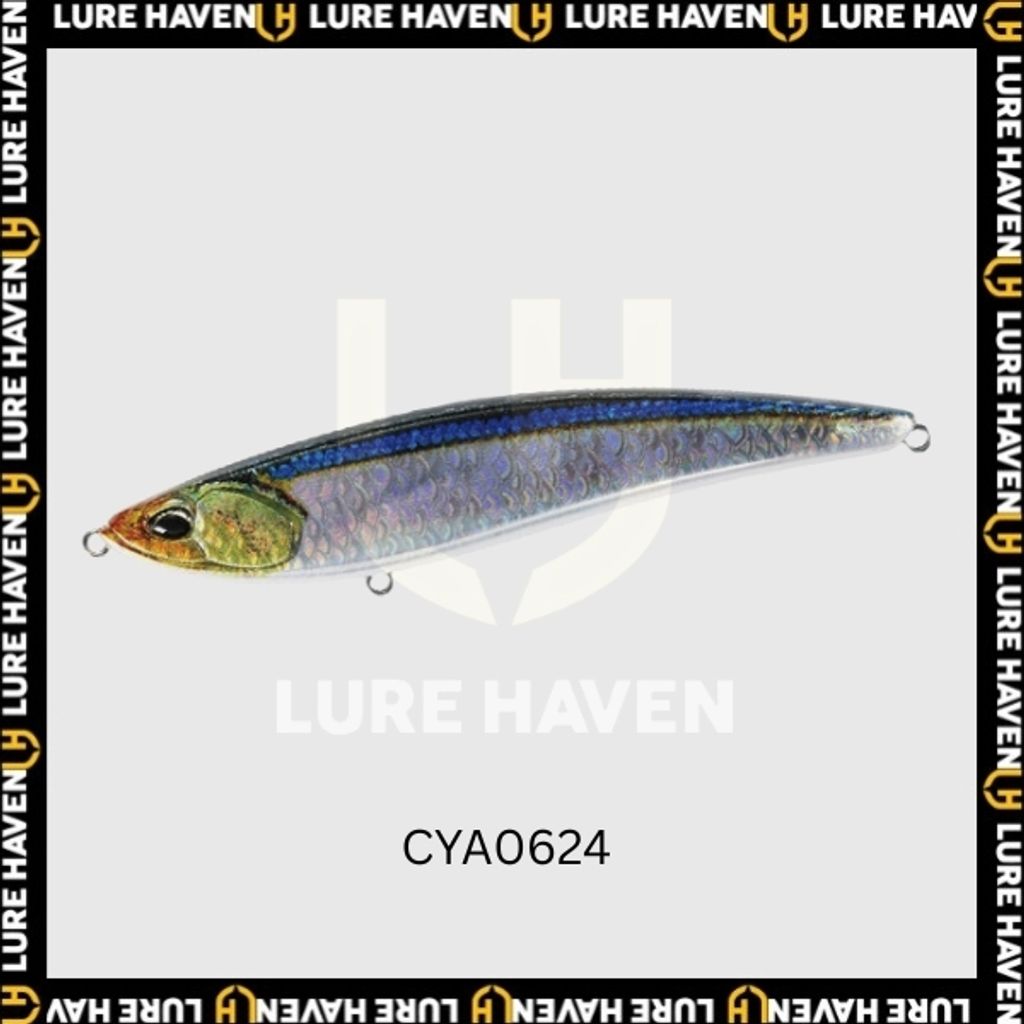 limber CYA0624 