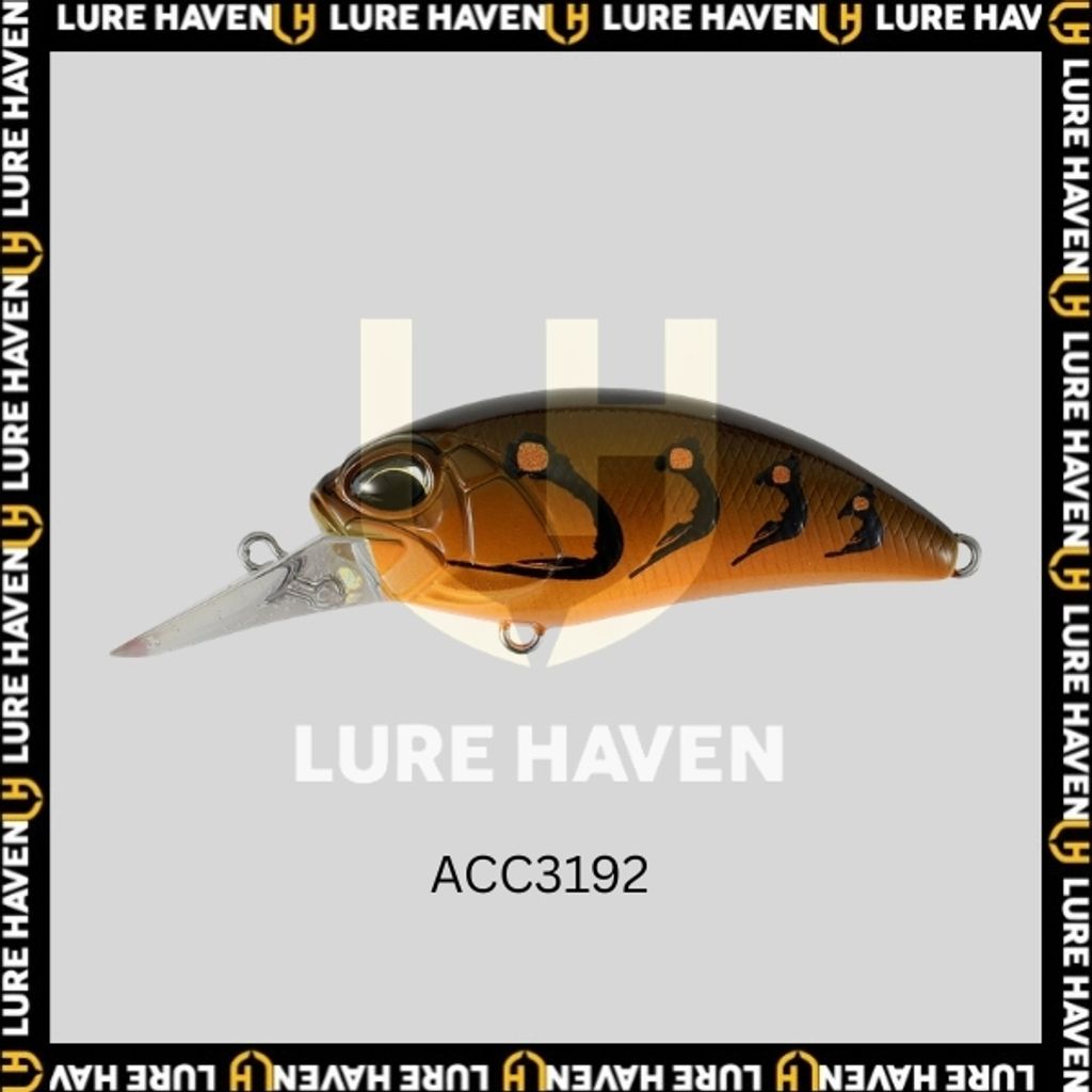 ACC3192 