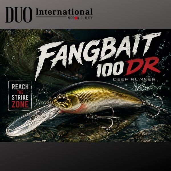 _duo fb100dr dp