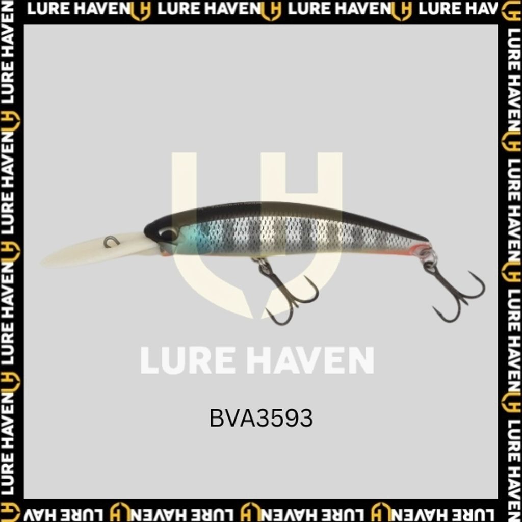 fb100dr BVA3593