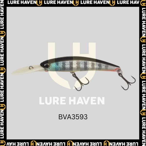 fb100dr BVA3593