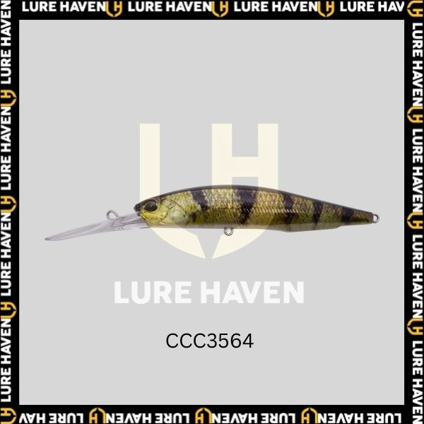 jerkbait barra  CCC3564 