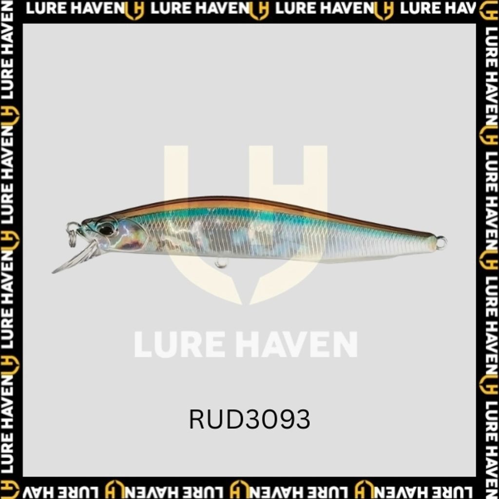 RUD3093