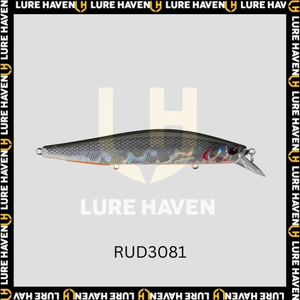 RUD3081